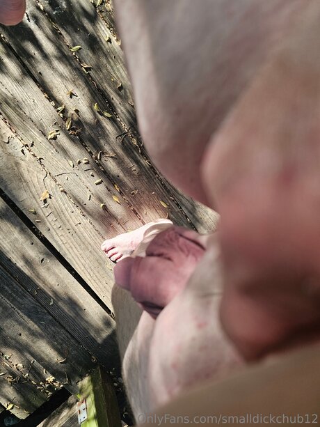 Smalldickchub12 art star image