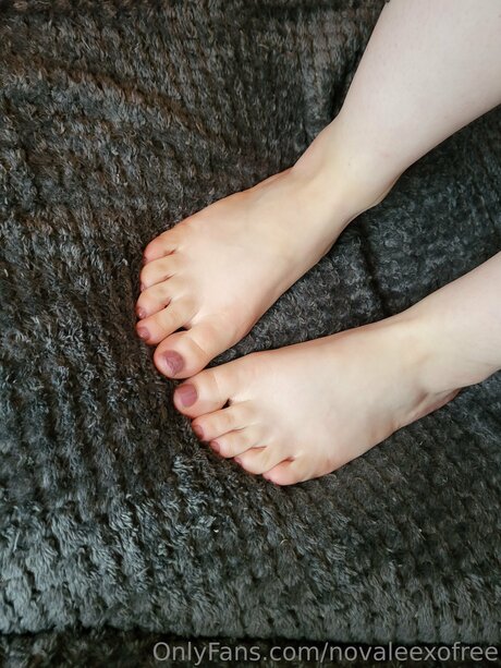 Novaleexofree top actress galleries