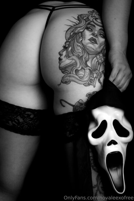 Novaleexofree pornstar art photo