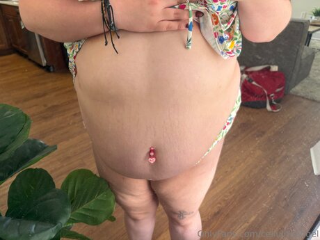 Celluliteangel pornstar nude picture