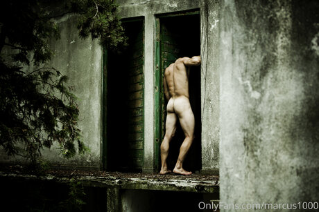 trimmed onlyfans hot nude image