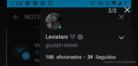 U308143049 model top archive