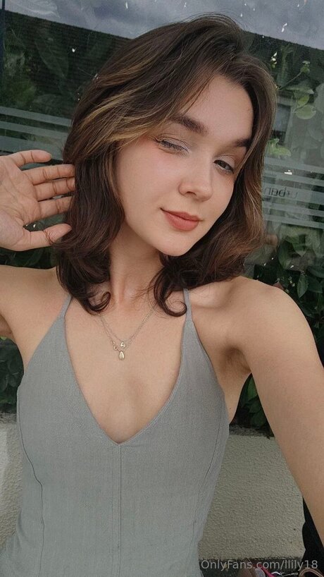 Llily18 star art image