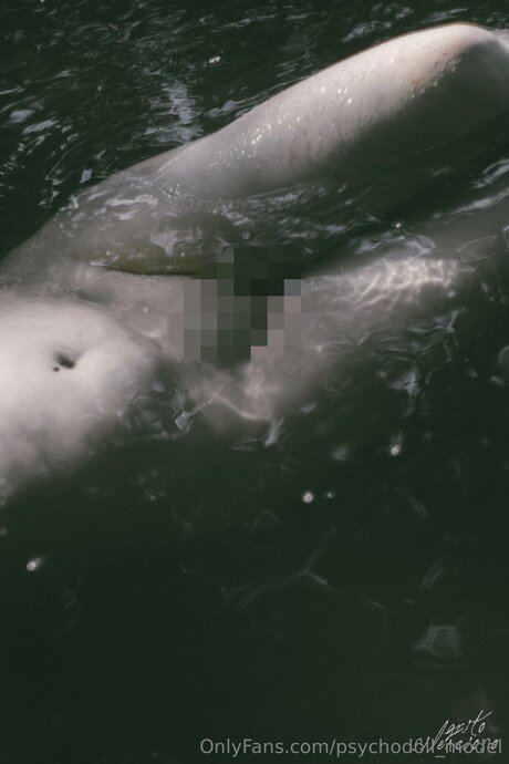 Psychodoll Model top actress pic