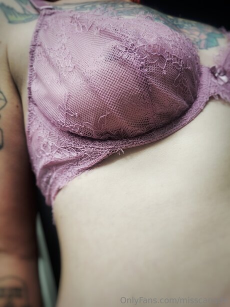 Misscanada star xxx image