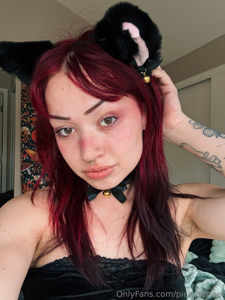 Picassonoel adult actress image