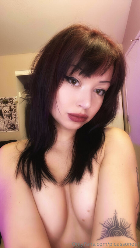 Picassonoel sexy star photo