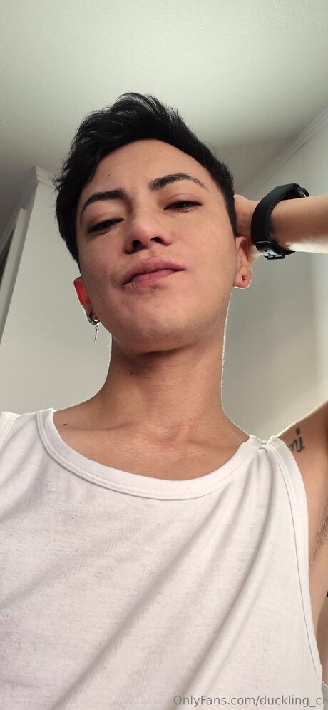 Duckling Cl hd model galleries