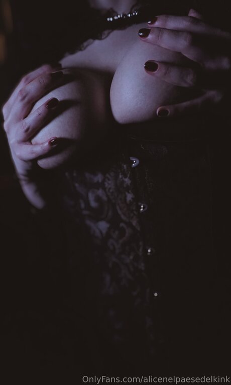 Alicenelpaesedelkink art pornstar images