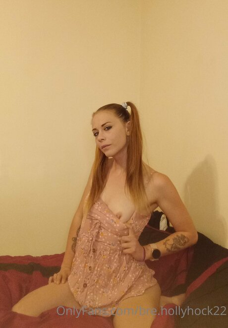 Bre Hollyhock22 beautiful pornstar pic
