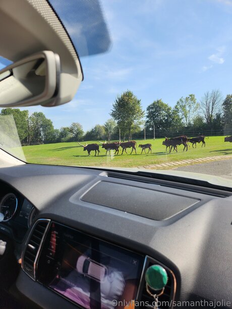 Samanthajolie beautiful star pics