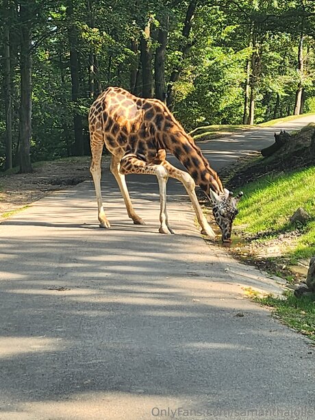 Samanthajolie best model images