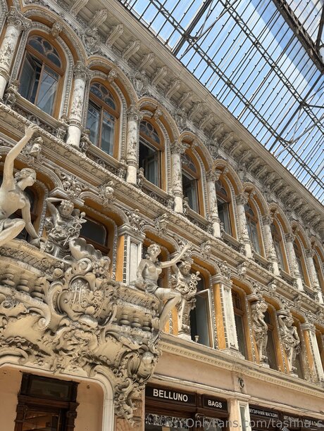 Tashha S best model img