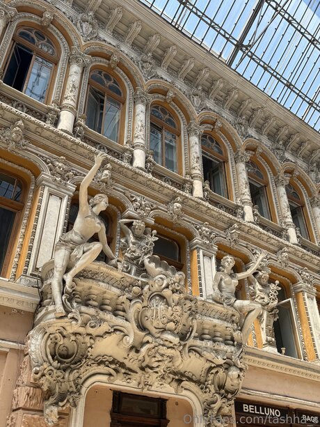 Tashha S pornstar adult photo