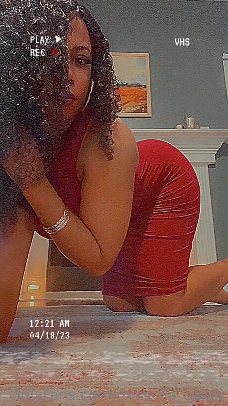 Miss Tia Cakes pornstar nude picture