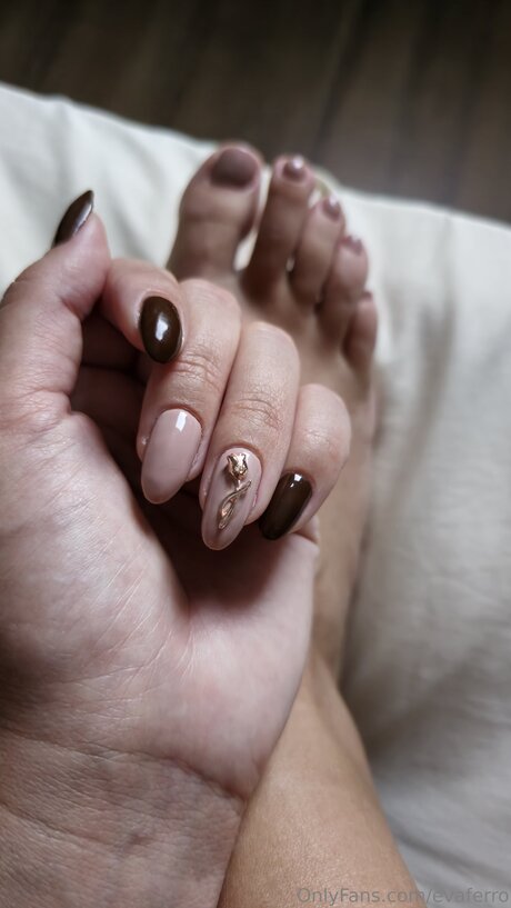 Evaferro star picture