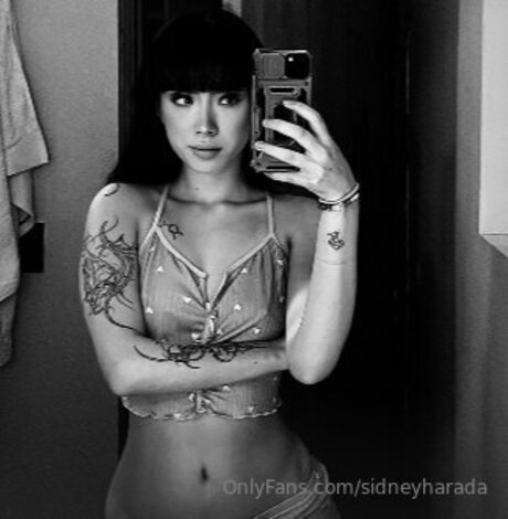 Sidneyharada star high quality galleries