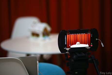 Tiny Loly model pretty pictures