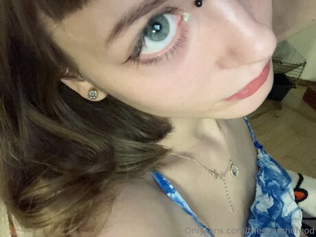 Thesearchofgod star picture