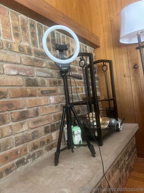 Nattoolate best model archive