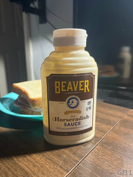 Mwebster6 actress photo