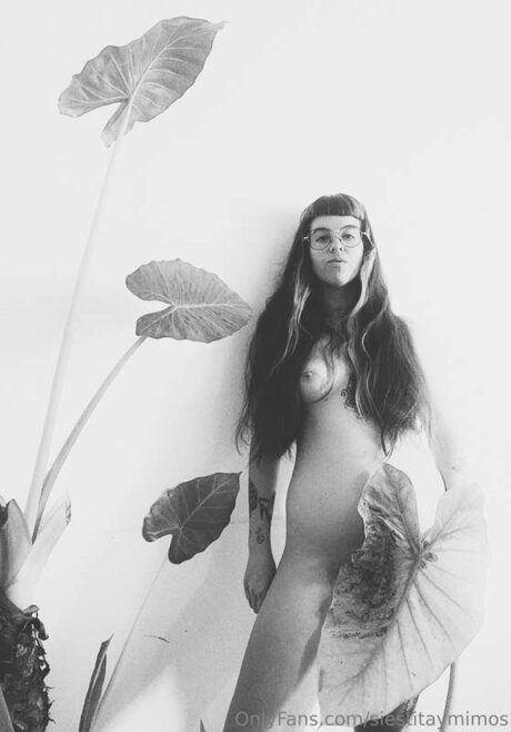 Siestitaymimos sexy pornstar img