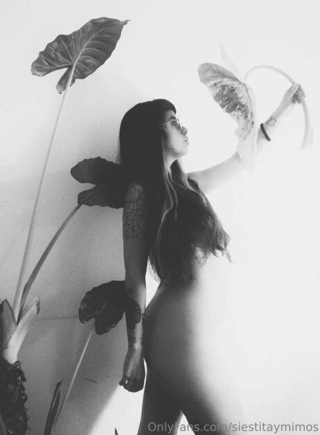 Siestitaymimos pretty pornstar archive