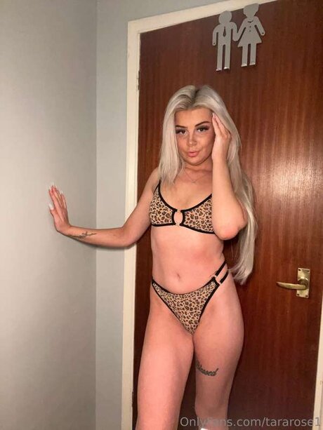 Tararose1 nice pornstar image