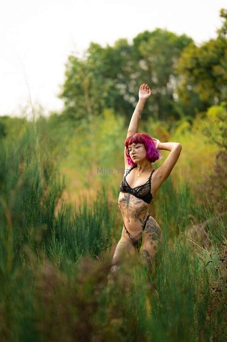 Yllaaa pornstar top pics