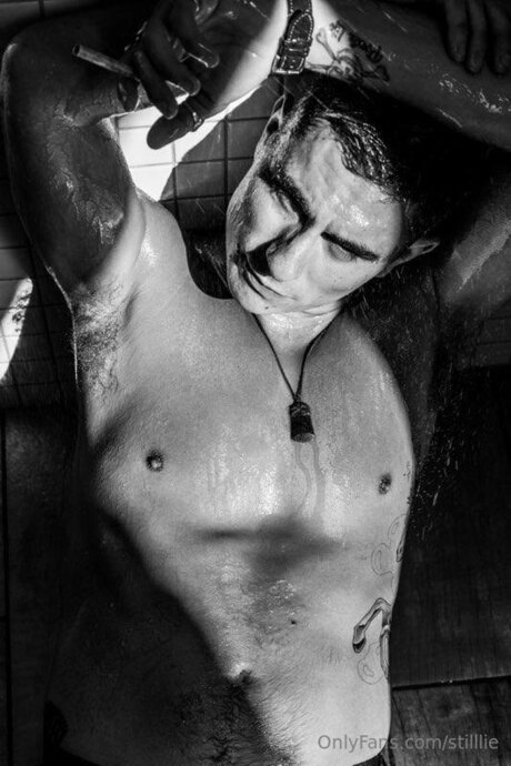 Stilllie hd star photo