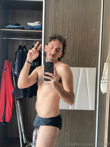 Lokiwolf model pretty img