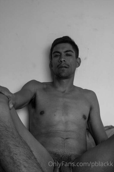 Pierconte adult actress picture