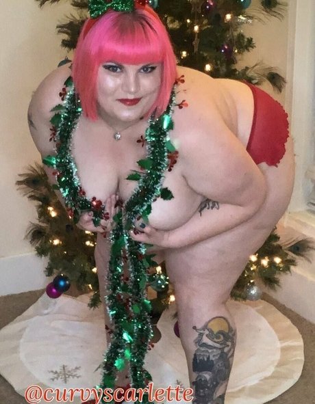 thebbwbible art pornstar gallery