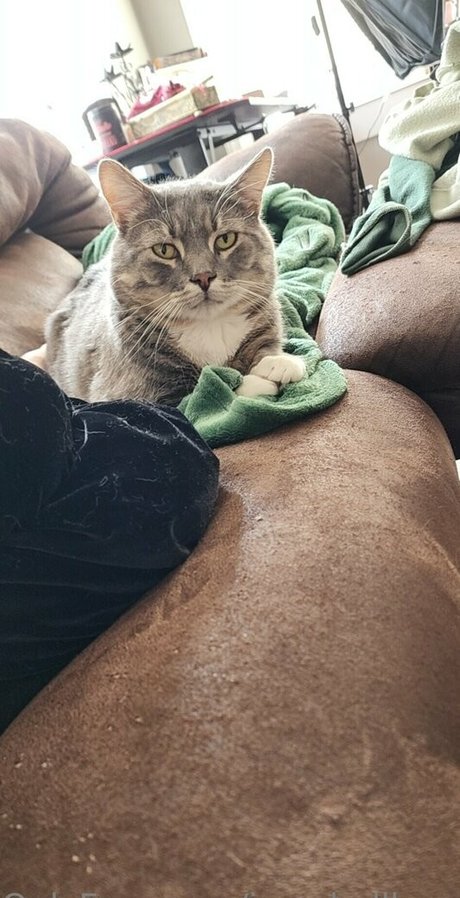 izzy hellbourne free actress gallery