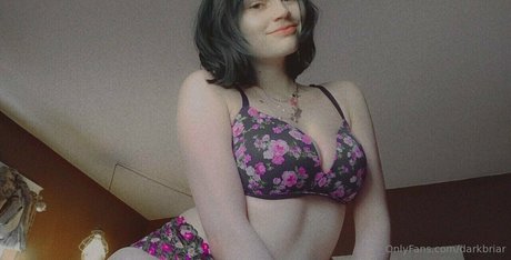 darkbriar star adult photo