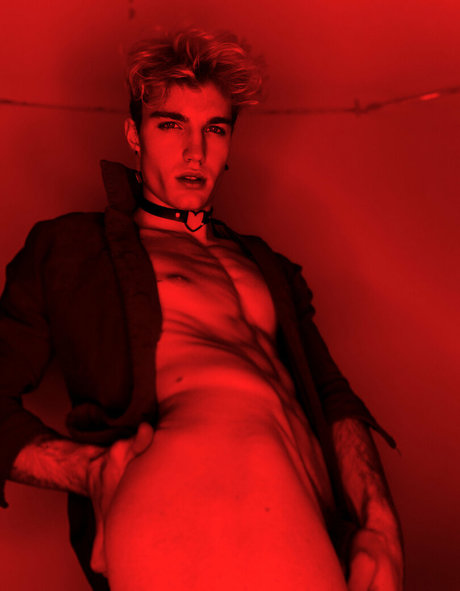 hazel hoffman perfect star galleries