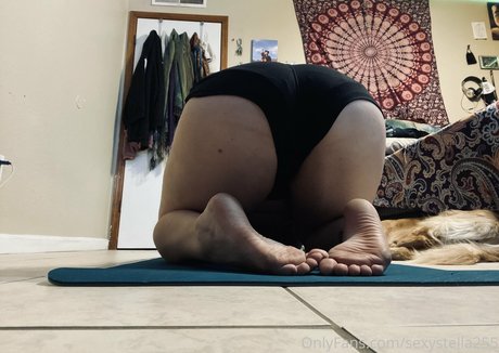 sexystella255 adult star archive