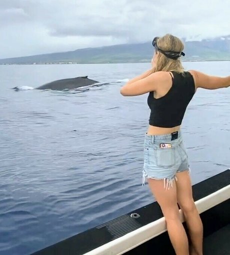 cougars onlyfans exclusive images