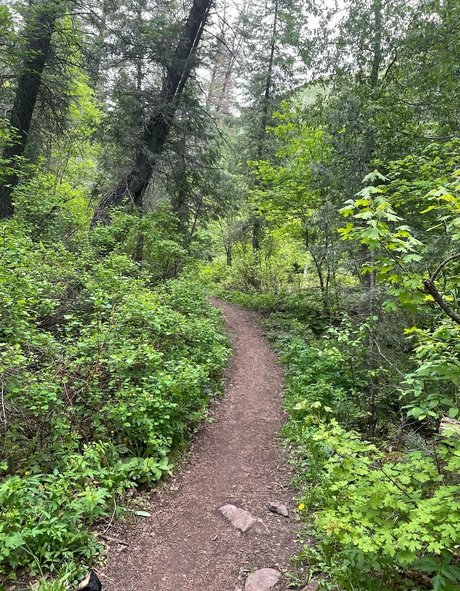 standing fuck onlyfans hot sexy images