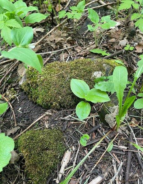 crystallizedfairy porn star archive