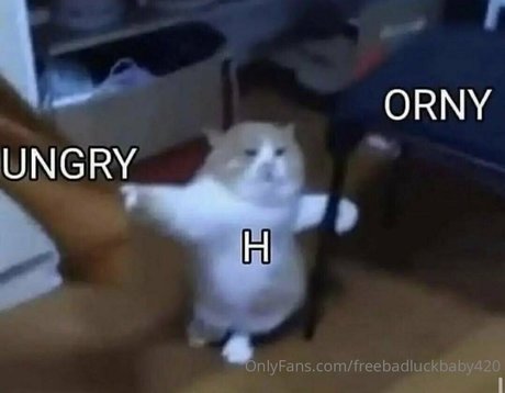 stepsister onlyfans adult archive