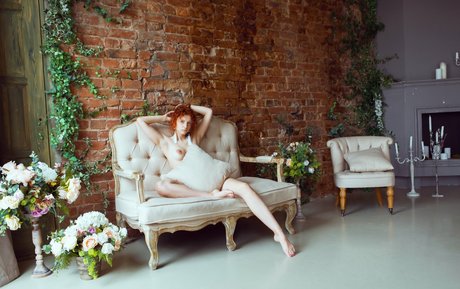 jinadaisy star pornographic picture