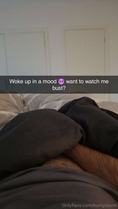 Harrystorm xxx model image