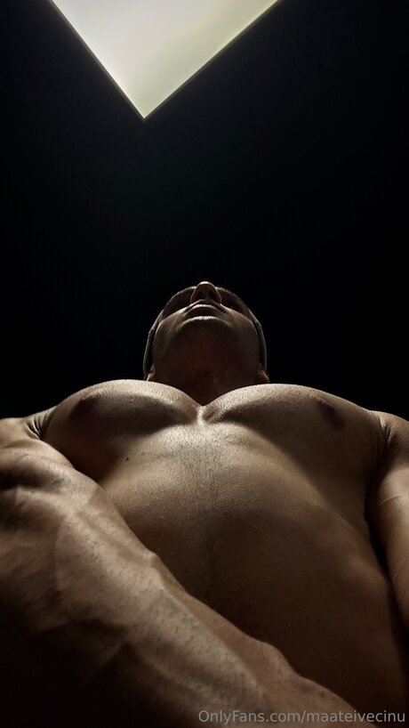 Maateivecinu free model galleries