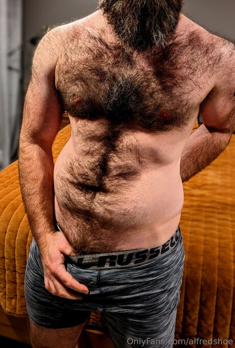 Alfredshoe porn star gallery