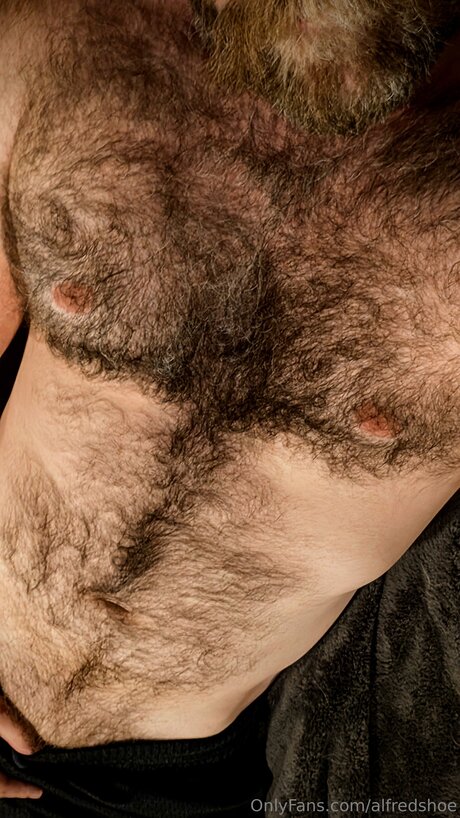 Alfredshoe model pornographic gallery