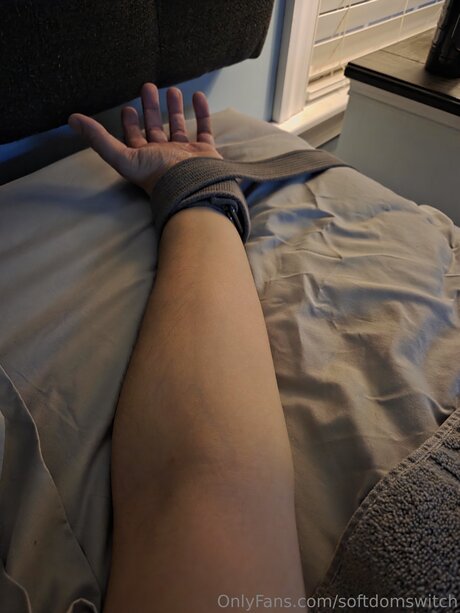 Softdomswitch high quality star photo