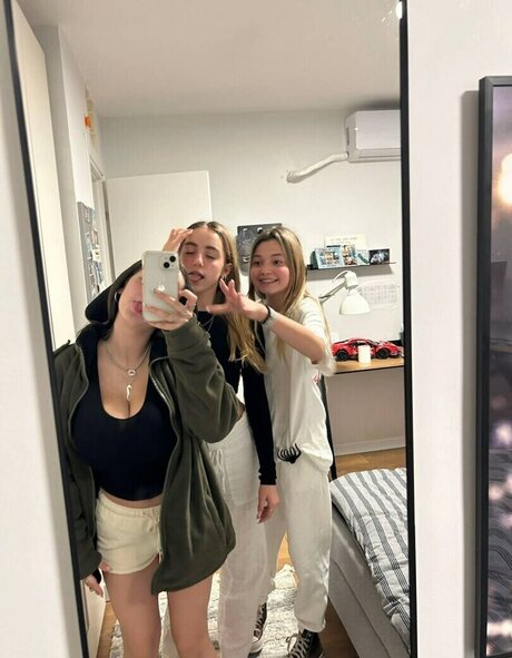 Pelegsaar best model img