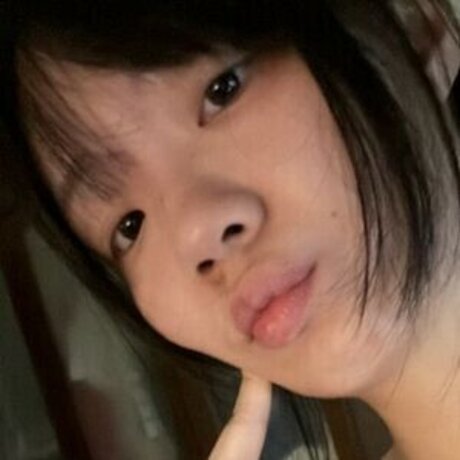 cyerripaws pornstar sexy archive