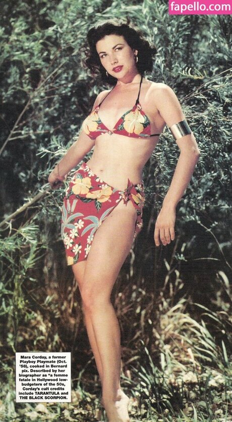 anal trans onlyfans free porn gallery